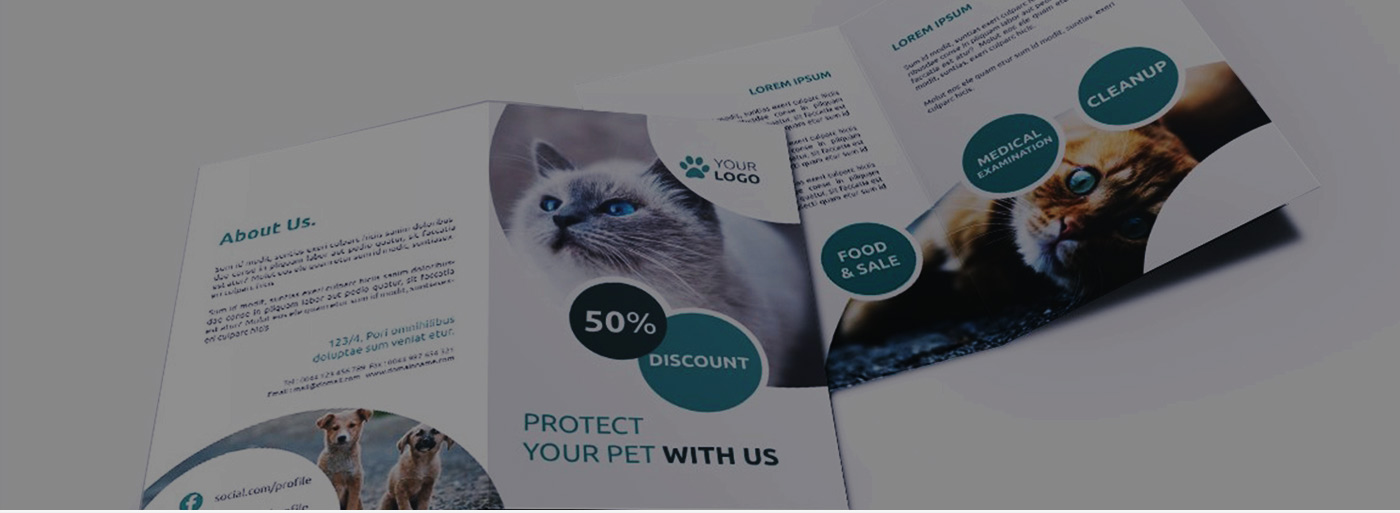 Flyers and Brochures Printing