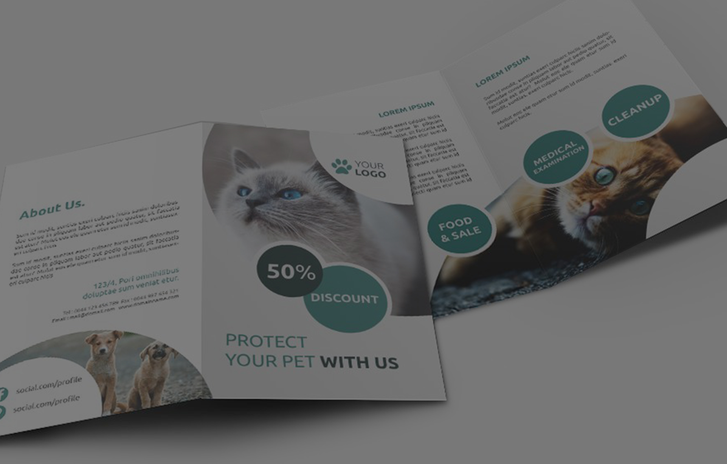 Flyers and Brochures Printing