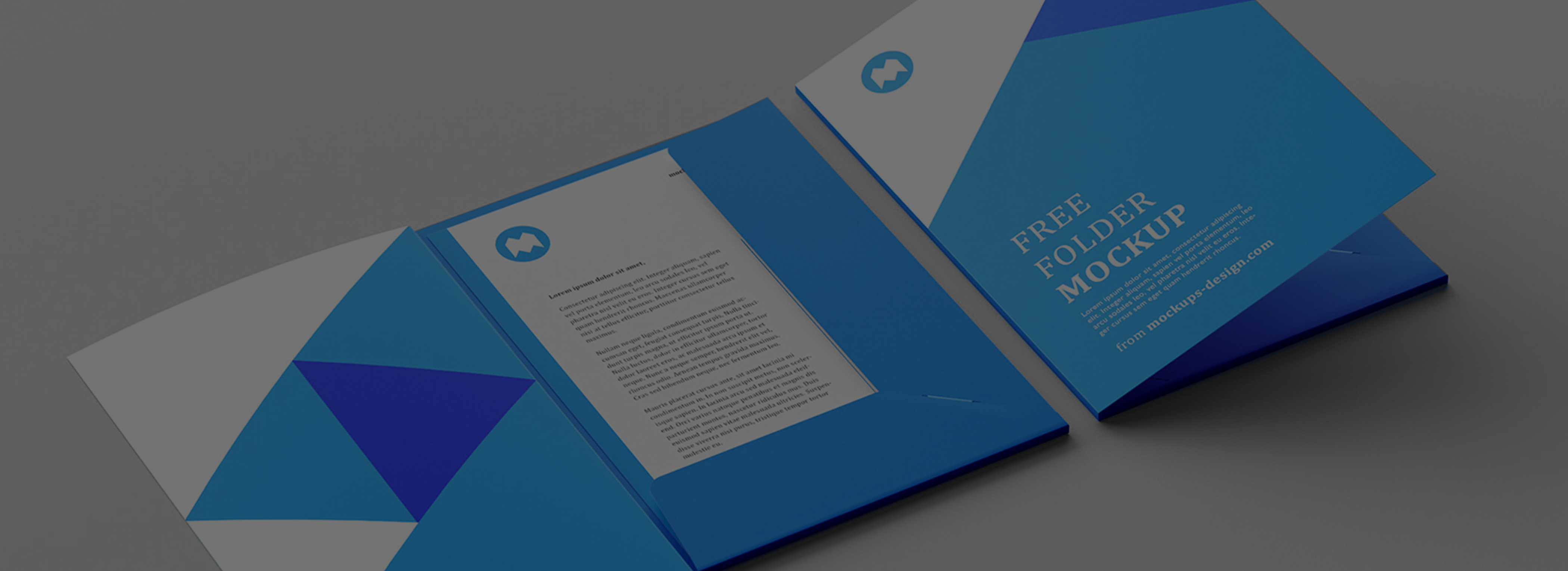 Corporate Folder Printing