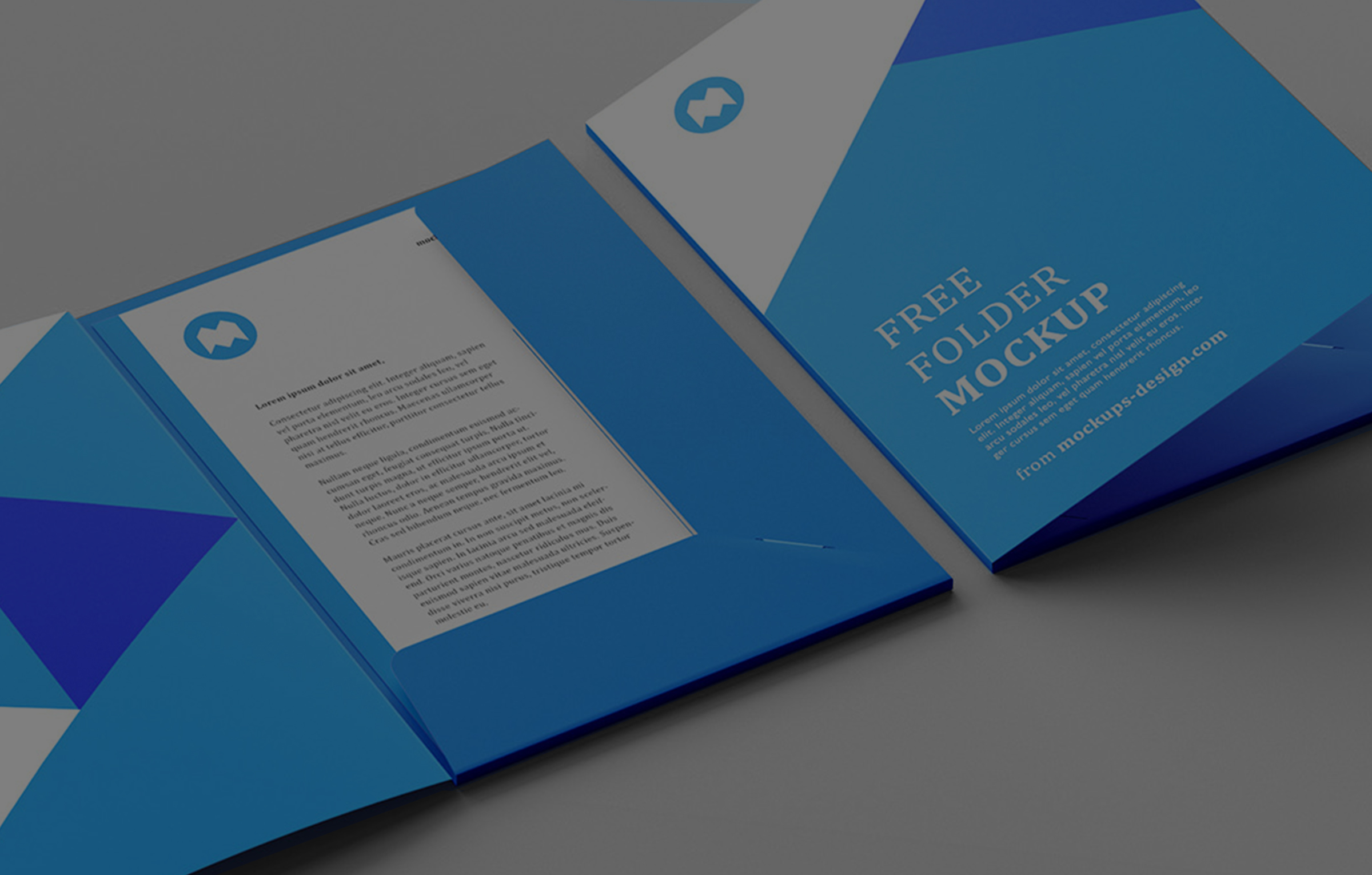 Corporate Folder Printing