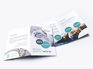 FOLDED FLYER - 1 fold